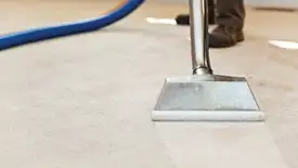 Carpet cleaning wand head gliding over a light carpet during hot-water extraction, Fort Worth, TX.