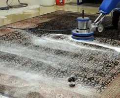 Professional rug cleaning with a rotary floor machine and shampoo foam, deep-cleaning an area rug, in Fort Worth, TX.
