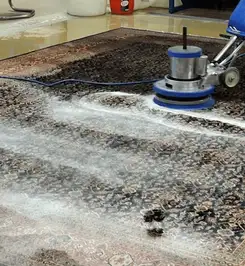 Professional rug cleaning with a rotary floor machine and shampoo foam, deep-cleaning an area rug Fort Worth, TX.